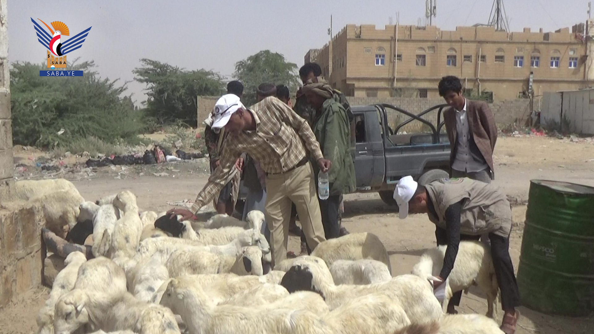 تدشين المرحلة الثانية من حملة حماية الثروة الحيوانية في الجوف